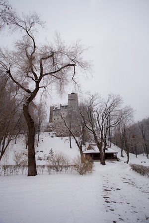 Dracula Castle in Transylvania, Romaniaのeditorial素材