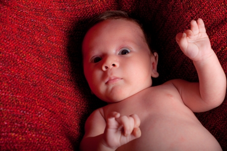Sweet baby boy lying down on a red carpetの写真素材