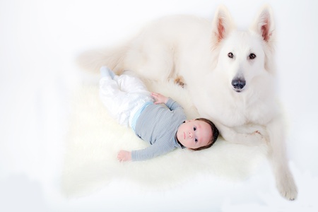 Sweet baby boy and his friend, a white swiss shepherd dogの写真素材