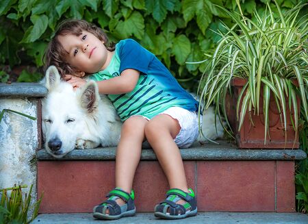 Affectionate baby with dog, Swiss white shepherdの写真素材