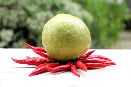 lemon hotの写真素材