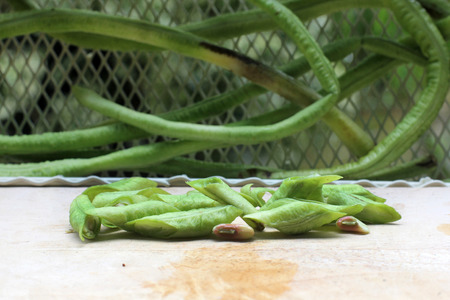 vegetable from gardenの写真素材