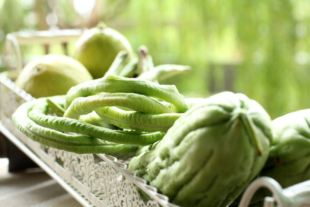 greens for cookingの写真素材