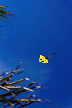 A yellow kite in a blue sky の写真素材