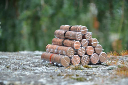 EU Money - many cents in stone in stone
