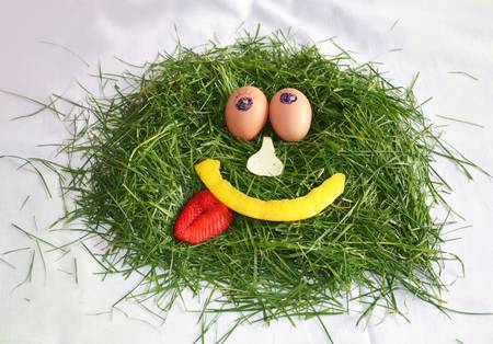 smiling face lined with grass, eggs, strawberries, cheese and lemon peelの写真素材