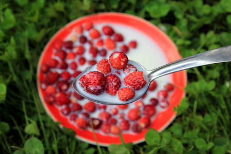 Strawberryの写真素材
