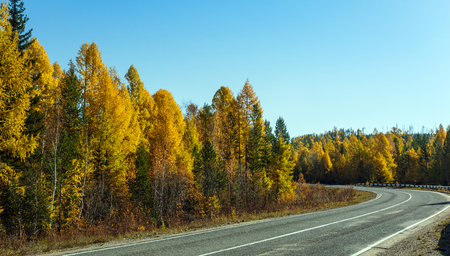 Turning asphalt road in the forest, a clear spring day with the applied markings and strikers.の写真素材
