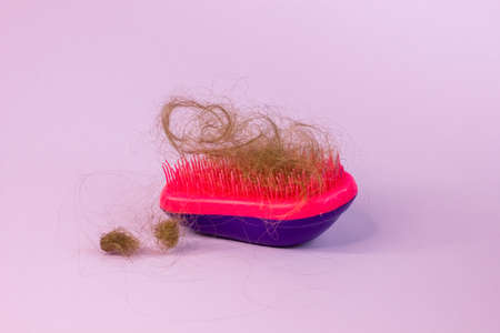 Close-up of a brush with lost hair on it on purple background.