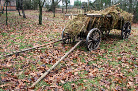 Cart with hay in an autumn gardenの写真素材