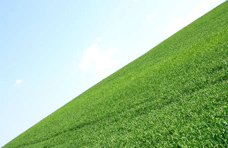 Field and sky, the horizon line divides the frame diagonallyの写真素材