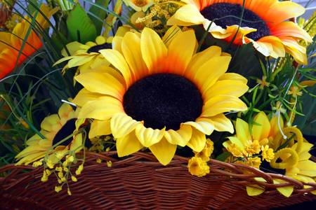 Wattled basket with sunflowers. A flower closeupの写真素材