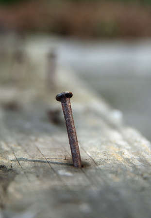 Rusty nail on old wooden texture background