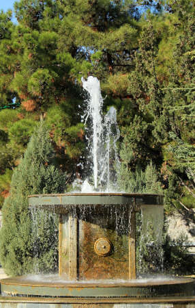 Splashes of fountain water against the treeの写真素材
