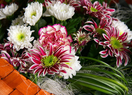 The background image of the colorful flowers