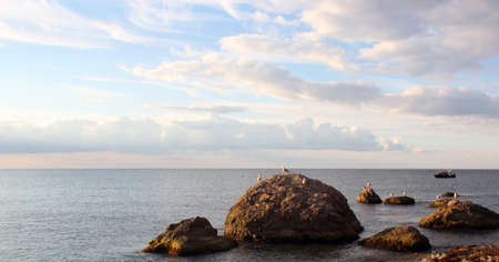Seagulls on a sea stones sky with cloudsの写真素材