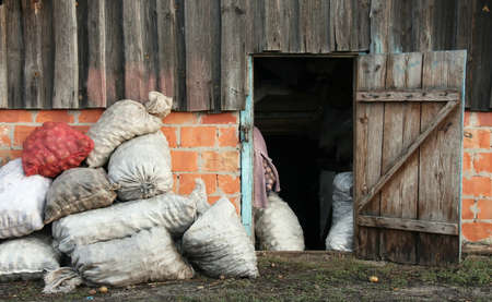 Sacks of potatoes at the open door of the rural barnの写真素材