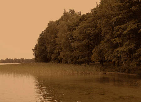 Beautiful forest lake in the morning, Ukraine.の写真素材