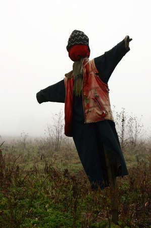 Photo of scarecrow in field on a foggy dayの写真素材