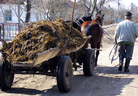 The man is the village street near the horse-drawn cart from which pusのeditorial素材