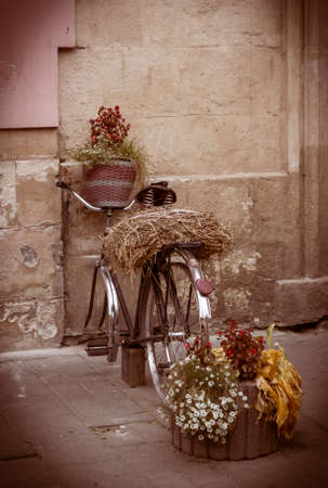 Flower and hay on the old bicycle parking in the streetの写真素材