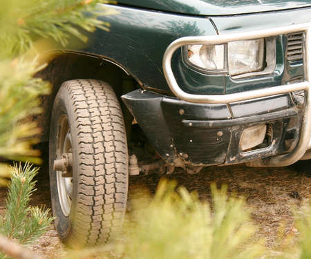 Front of the SUV in forest