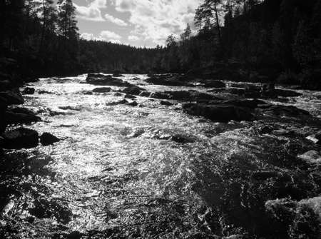 Threshold of the mountain river and wet stonesの写真素材