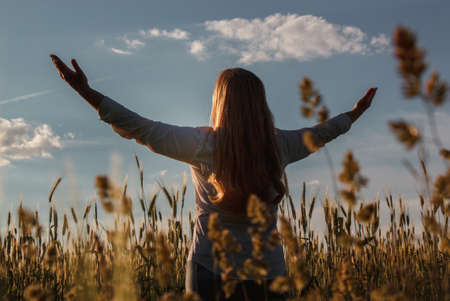 Back view of blonde woman who stands toward the sunset in a wheat field with raised handsの写真素材