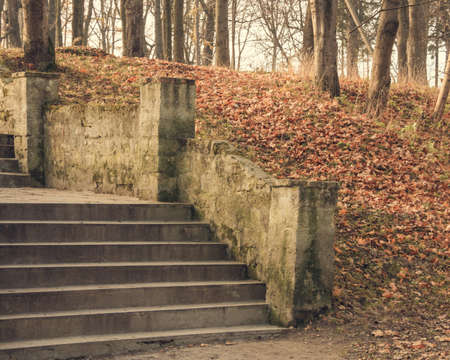 Stone staircase strewn with falling leaves in autumn park