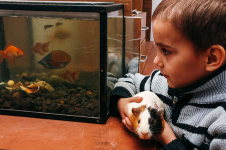 KOZYN, UKRAINE - 29 January 2009: Boy with pet at homeのeditorial素材