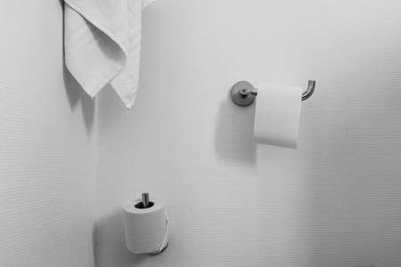 Towel and toilet roll on holderの写真素材