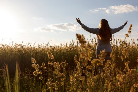 Back view of blonde woman who stands toward the sunset in a wheat field with raised handsの写真素材