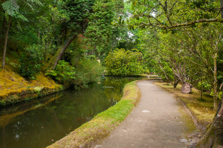 A large botanical garden with a huge variety of plants and trees and with lakes, streams and a pool of volcanic originの写真素材