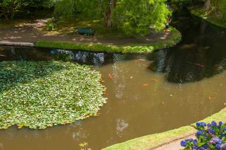 A large botanical garden in the Azores with a huge variety of plants and trees and with lakes, streams and a pool of volcanic originの写真素材