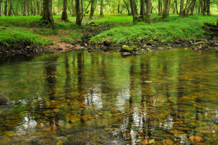 Natural landscape of watercourse