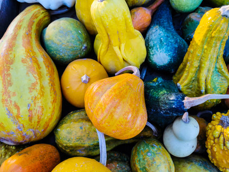 Colorful squashes and pumpkins at a farmer's market.の写真素材