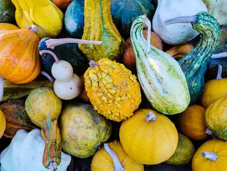 Colorful squashes and pumpkins at a farmer's market.
