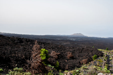 Solidified volcanic lava stream from the Cumbre Vieja volcano on the island of La Palmaの写真素材