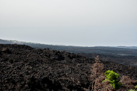 Solidified volcanic lava stream from the Cumbre Vieja volcano on the island of La Palmaの写真素材