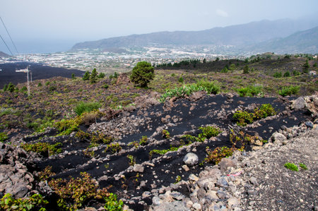 Volcanic landscape  the Cumbre Vieja volcano on the island of La Palmaの写真素材