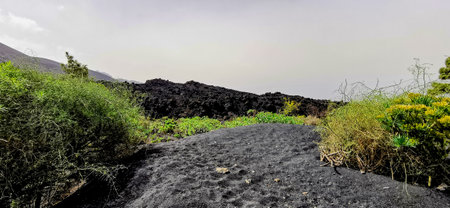 Solidified volcanic lava stream from the Cumbre Vieja volcano on the island of La Palmaの写真素材