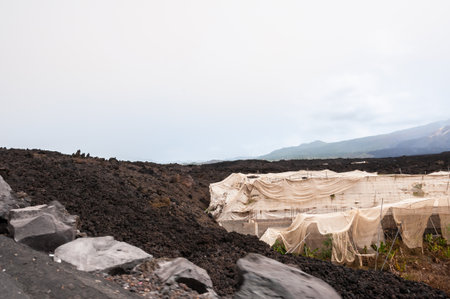 Solidified volcanic lava stream from the Cumbre Vieja volcano on the island of La Palmaの写真素材