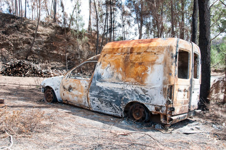 After summer forest fires in Portugalの写真素材