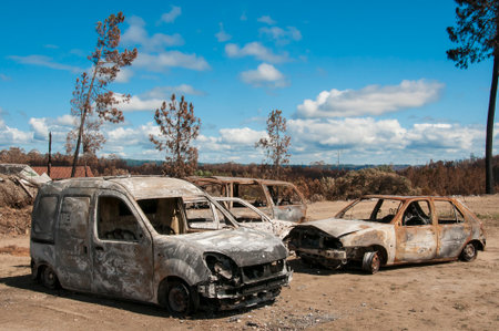 After summer forest fires in Portugalの写真素材