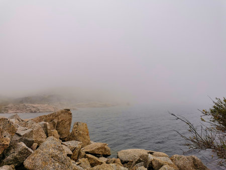 Idyllic landscape of a lagoon in a foggy environmentの写真素材