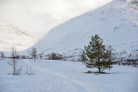 Snowy landscape in Norwayの写真素材