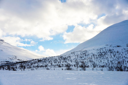 Snowy landscape in Norwayの写真素材