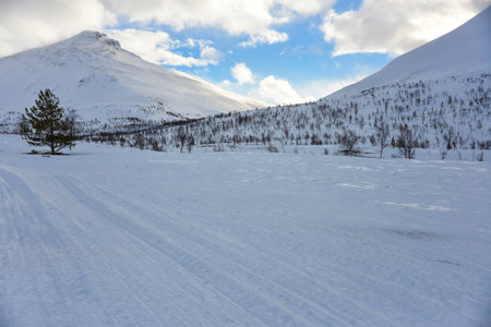 Snowy landscape in Norwayの写真素材
