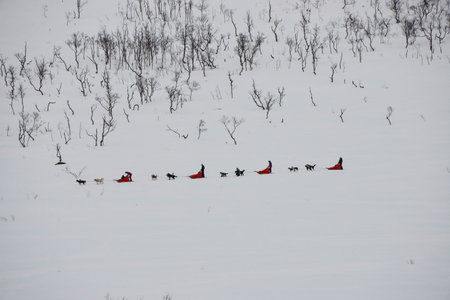 Snowy landscapeの写真素材