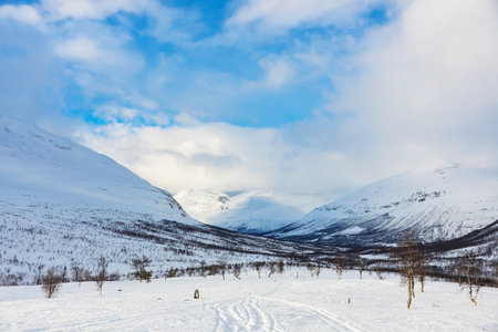 Snowy landscapeの写真素材